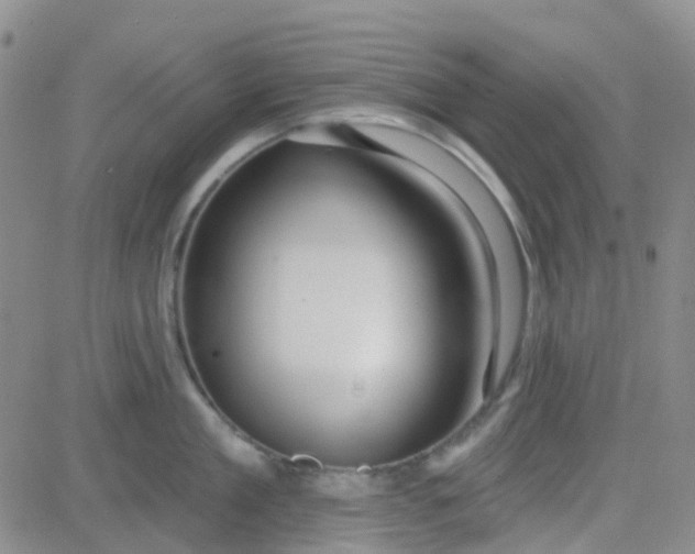 X0000083990909200703021936