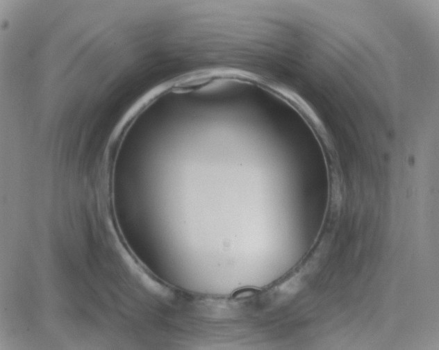 X0000083990910200703021936