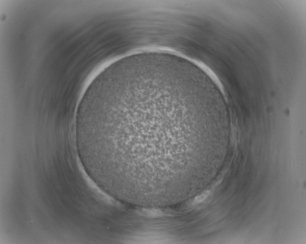 X0000083990911200703021936