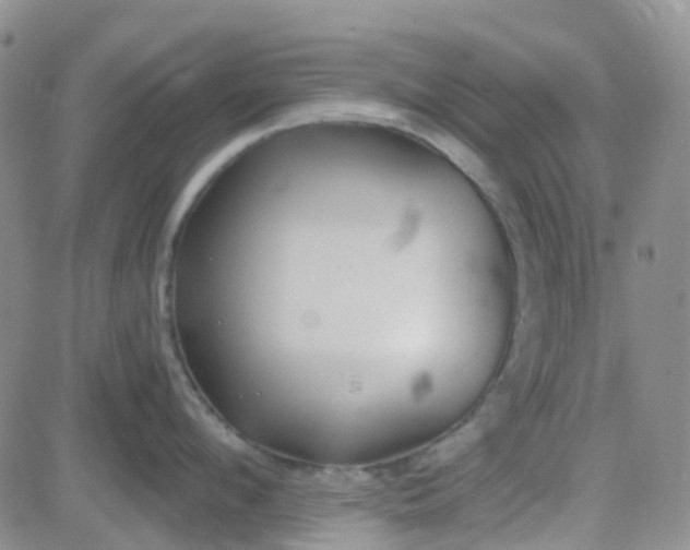 X0000083990912200703021936