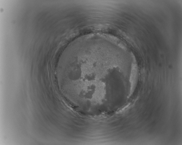 X0000083990913200703021935