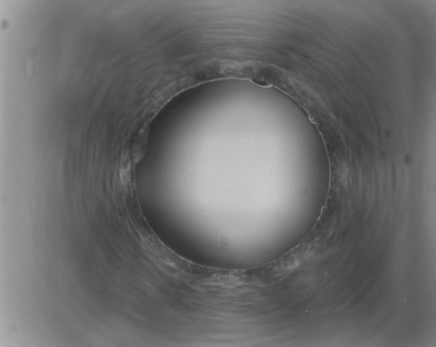 X0000083990914200703021935