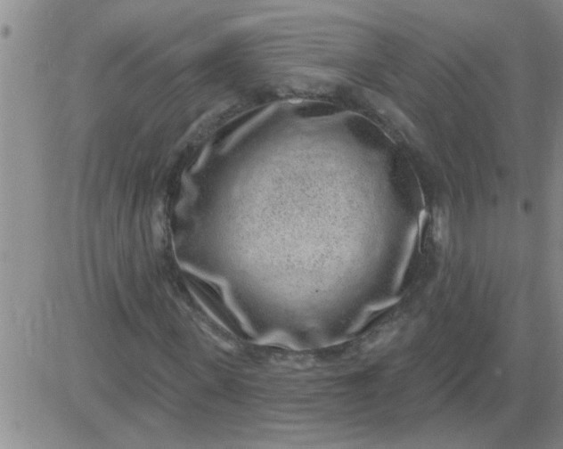 X0000083990915200703021935