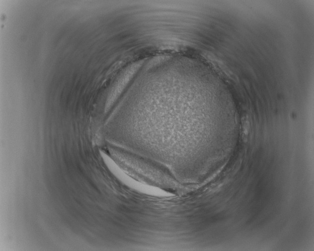 X0000083990916200703021935