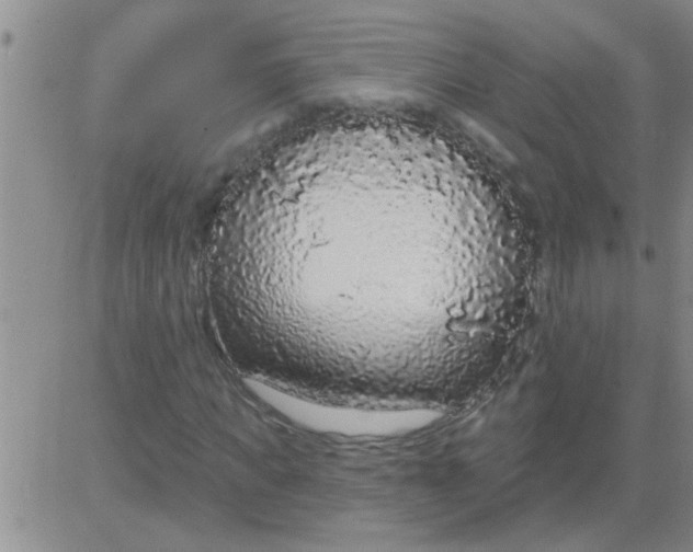 X0000083990917200703021935