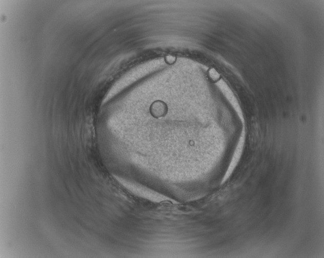 X0000083990918200703021935