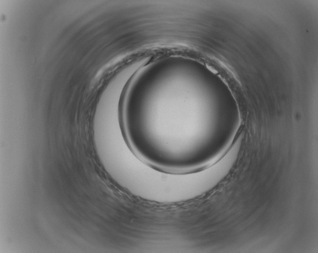 X0000083990920200703021935