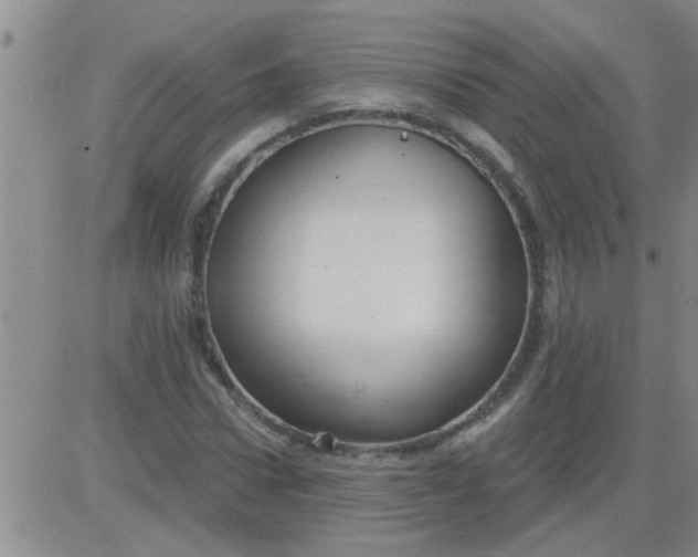 X0000083990922200703021935