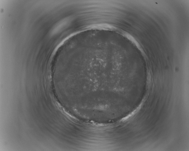 X0000083990923200703021935