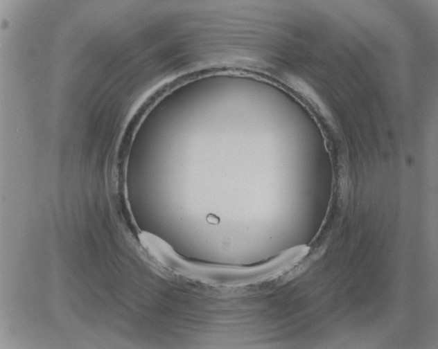 X0000083990924200703021935