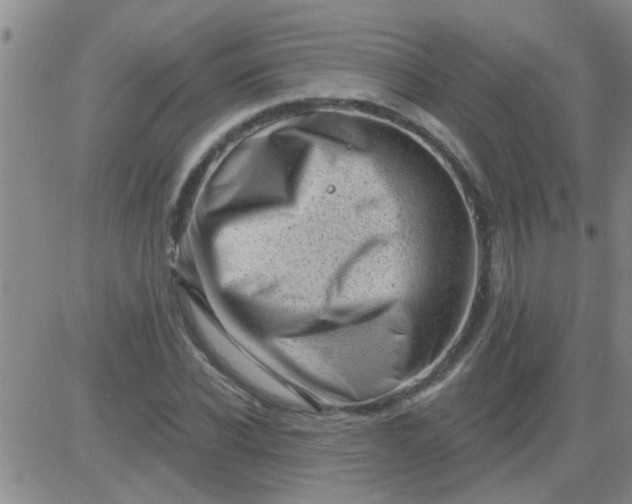 X0000083990926200703021935