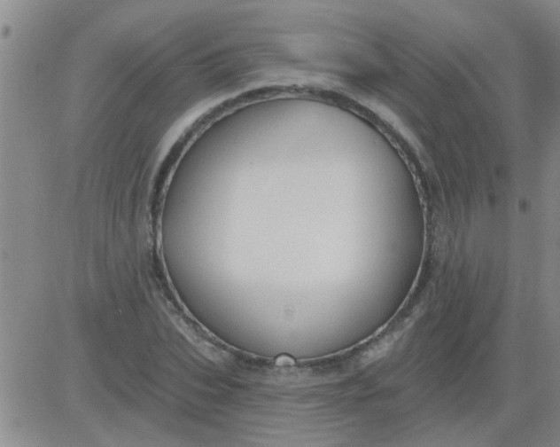 X0000083990927200703021935