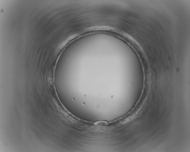 X0000083990929200703021936