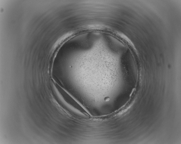 X0000083990930200703021936