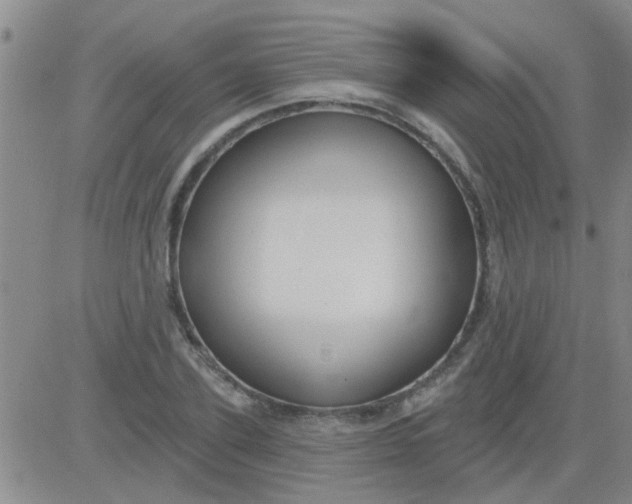 X0000083990931200703021936