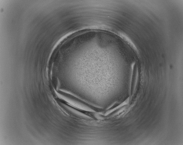 X0000083990932200703021936