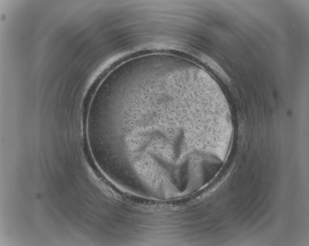 X0000083990934200703021936