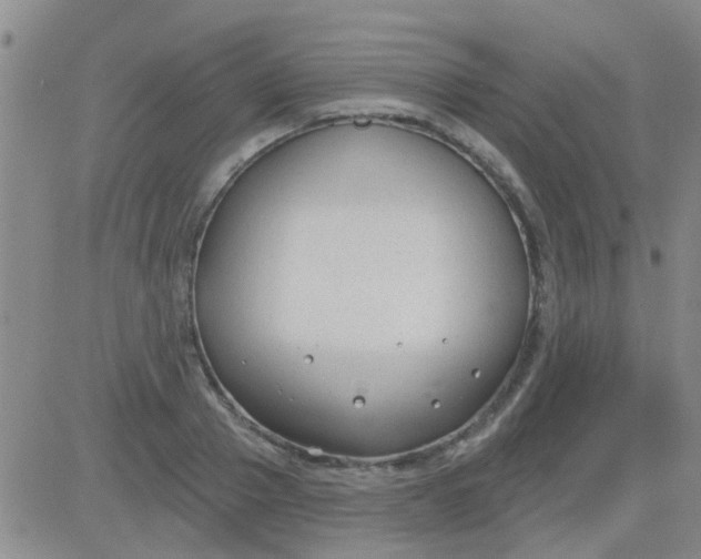 X0000083990937200703021936