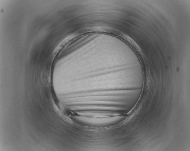 X0000083990938200703021936