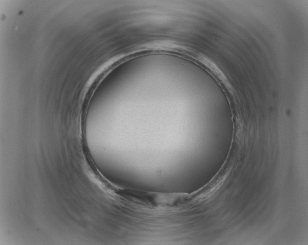 X0000083990939200703021936