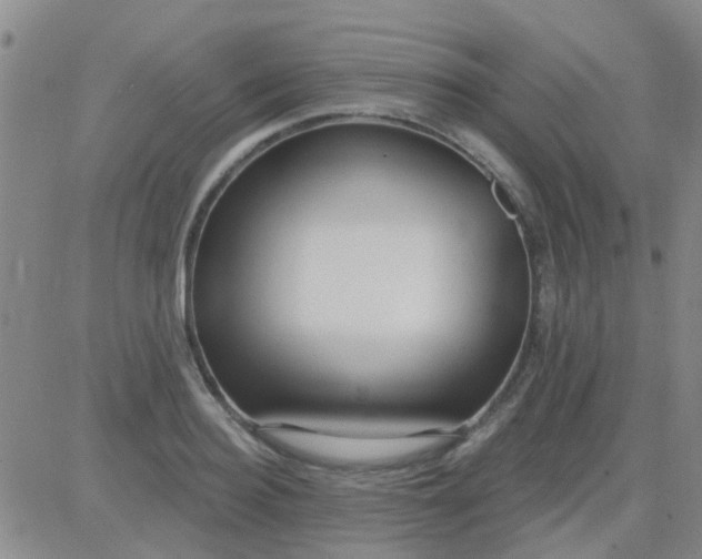 X0000083990940200703021936