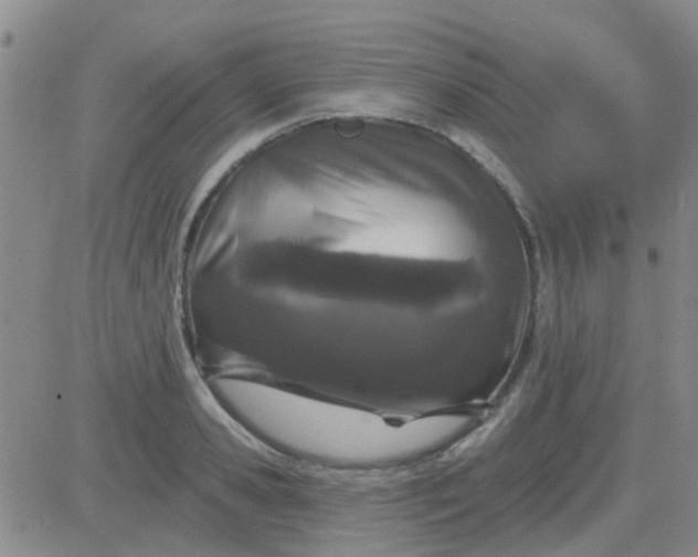 X0000083990941200703021936