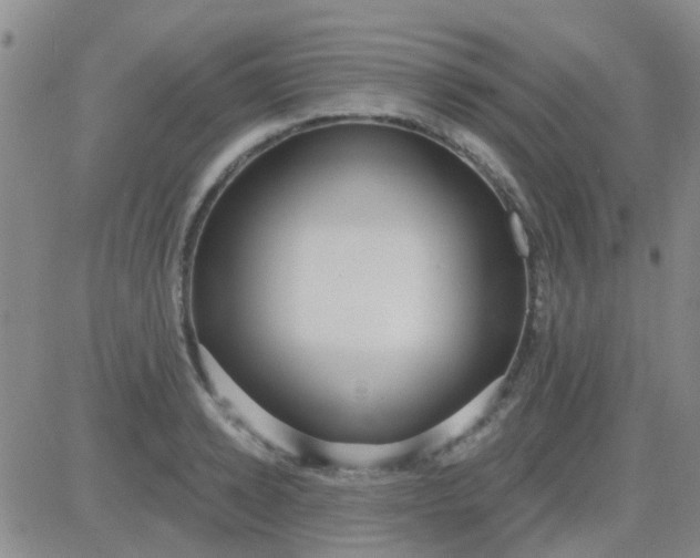 X0000083990942200703021936