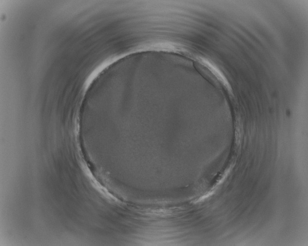 X0000083990944200703021936