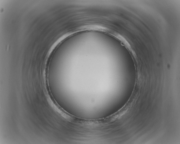 X0000083990947200703021936