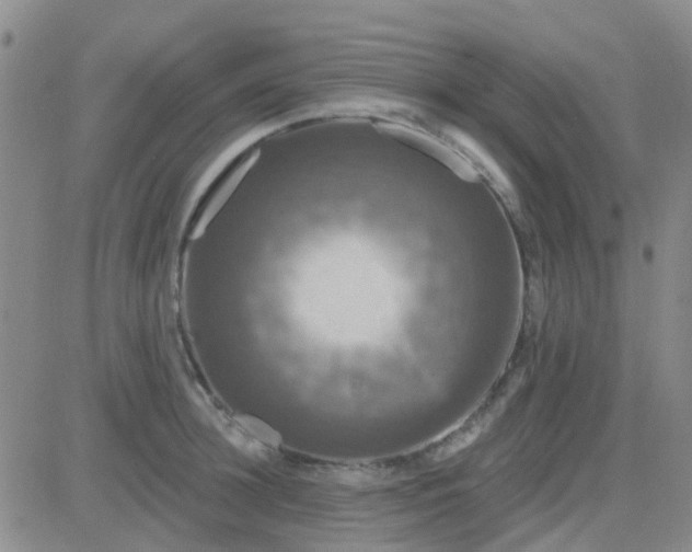 X0000083990948200703021936