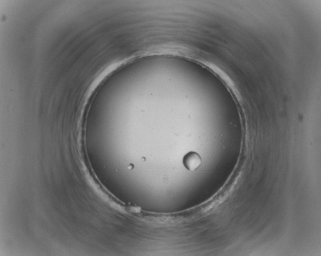 X0000083990949200703021936