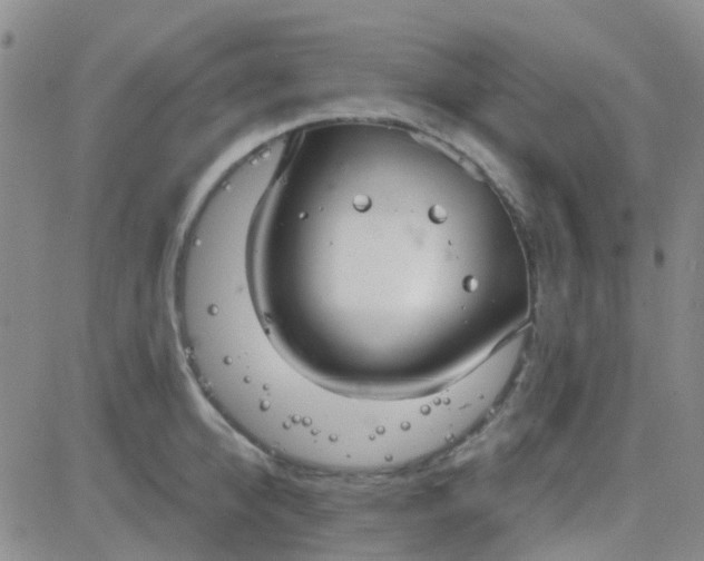 X0000083990950200703021936