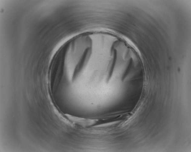 X0000083990951200703021936