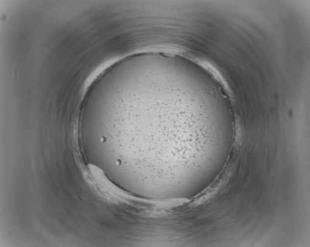 X0000083990952200703021936