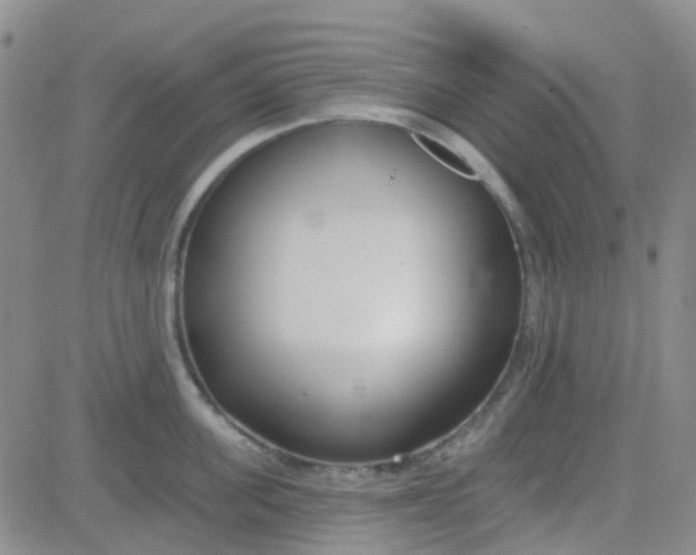 X0000083990955200703021936