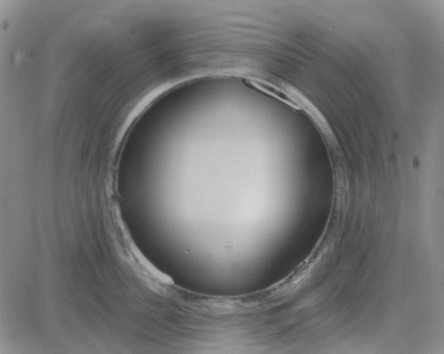 X0000083990956200703021936