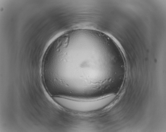 X0000083990957200703021936