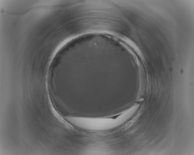 X0000083990958200703021936