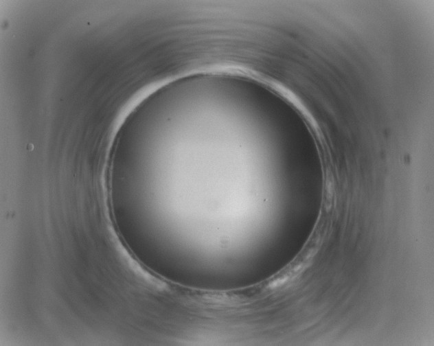 X0000083990959200703021936