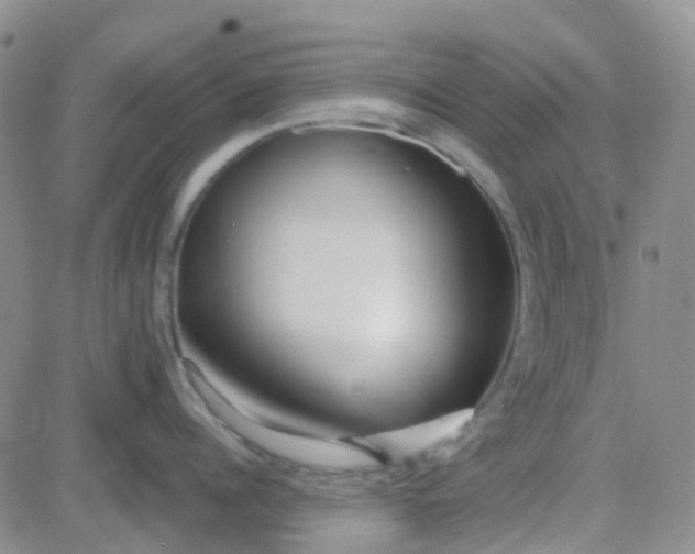 X0000083990960200703021936