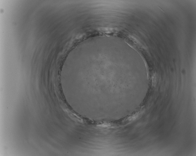 X0000083990961200703021935