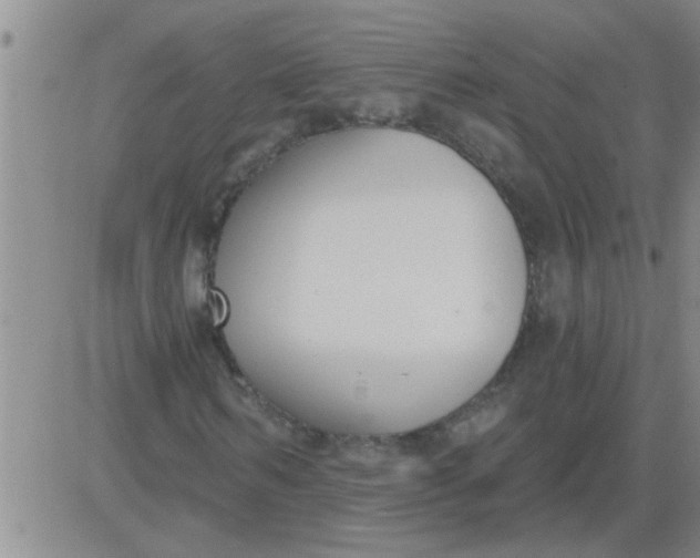 X0000083990962200703021935