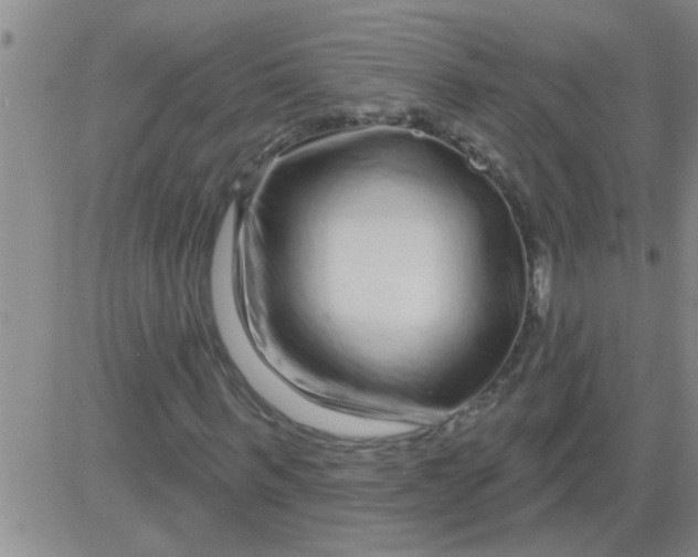 X0000083990963200703021935