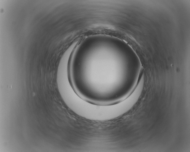 X0000083990965200703021935