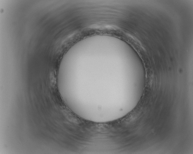 X0000083990966200703021935