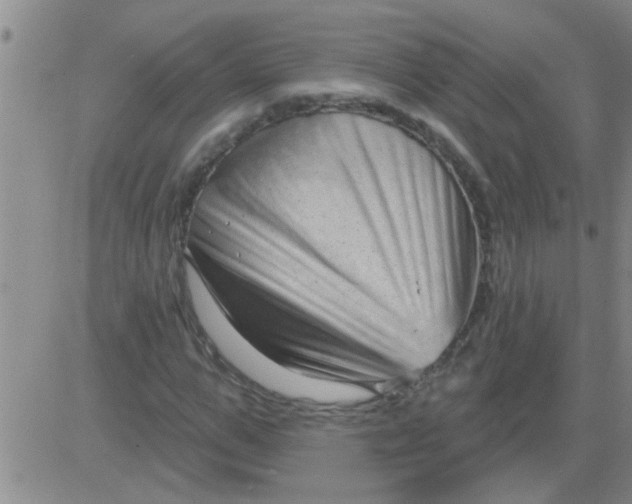 X0000083990967200703021935