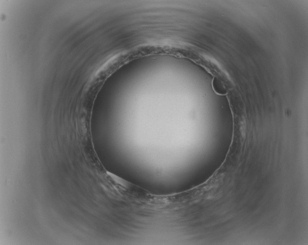 X0000083990968200703021935