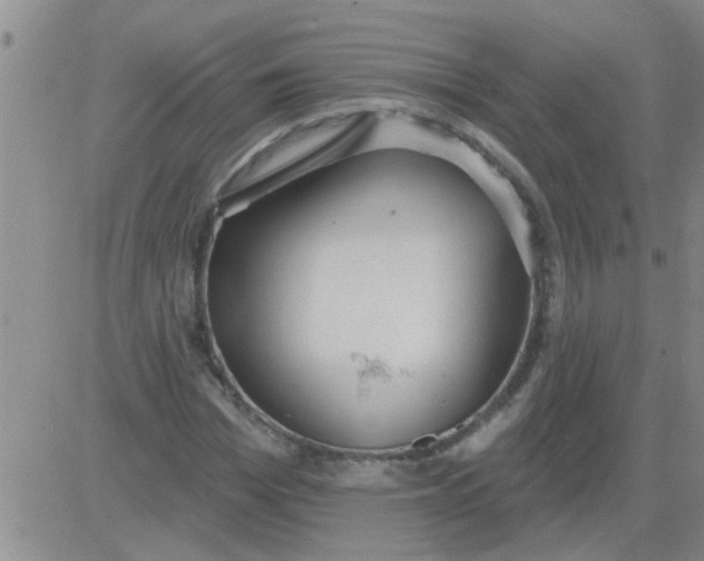 X0000083990969200703021935