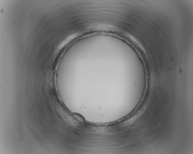 X0000083990970200703021935