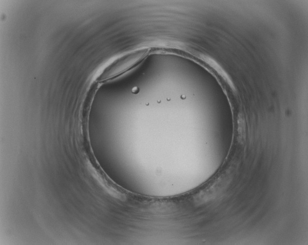 X0000083990972200703021935